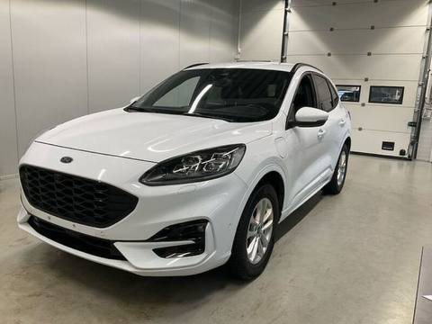 Ford Kuga 2022 z Danii